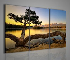 QUADRO MODERNO MYSTERIOUS PLANT ON LAKE QUADRI MODERNI PAESAGGIO ARREDARE CASA 