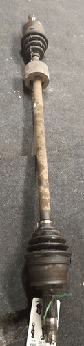 46308112 semialbero ant - semialbero,
