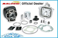 GRUPPO TERMICO MALOSSI Ø 47