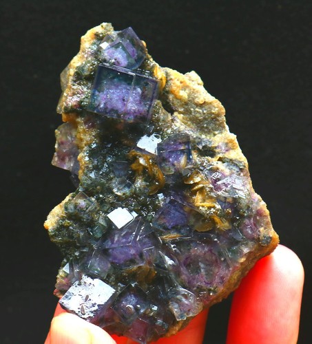 Gnatural viola phantom - viola,