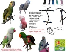 Pettorina pappagalli - pettorina, in