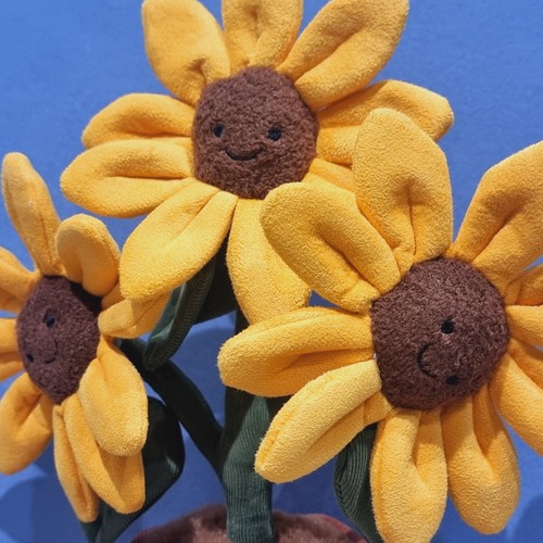 Pianta girasole jellycat - pianta, di