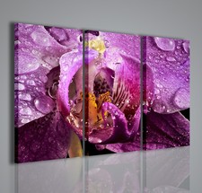 QUADRO MODERNO MACRO ORCHIDEA QUADRI MODERNI ARREDAMENTO MODERNO ARREDARE CASA