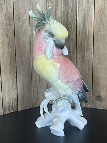 Karl ens cocatua pappagallo - karl,