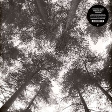 Cassandra Miller - Traveller