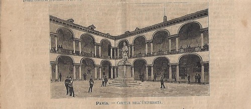 Stampa antica pavia - stampa,