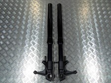 Gambe forcella anteriore