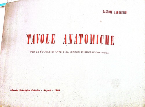 Tavole anatomiche