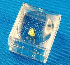 Regalo di Natale, rara pepita