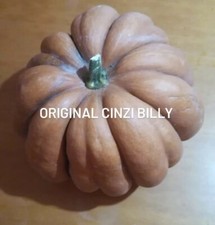 Semi zucca moscata - 15, di