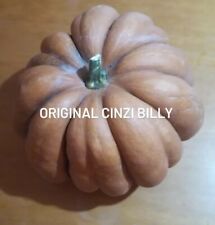 15 semi zucca moscata di Provenza semi di mia coltivazione semi italiani