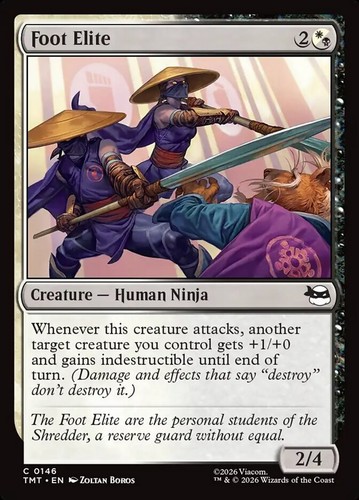 Mtg magic tmt tmnt en - magic,