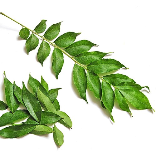 Foglie curry secche bio - di,