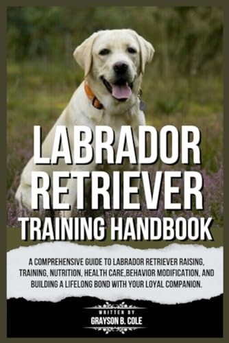 Labrador retriever training - labrador,