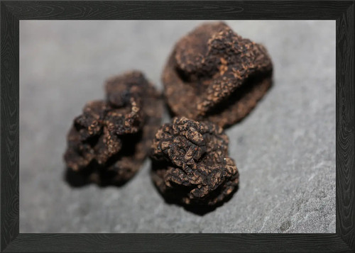 Tartufi tubero funghi
