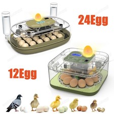 Incubatrice per uova