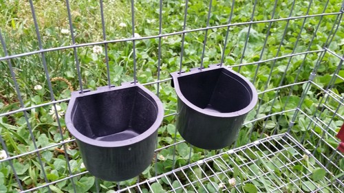 Set mangiatoie tazze - set, acqua