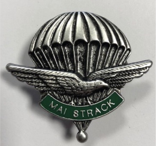 Spilla pins paracadutisti - , 4°