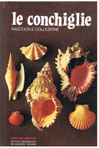 Conchiglie raccolta e - conchiglie,