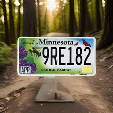 Targa Minnesota scaduta