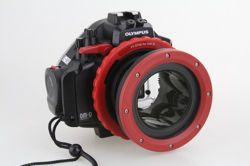 Exc olympus pt - [exc+],