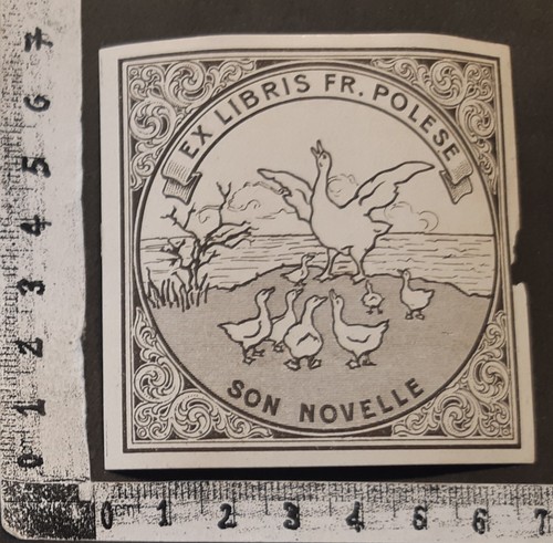 Wunderkammer exlibris 715 - exlibris,
