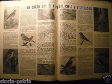 SPORT_CACCIA_TIRO AL