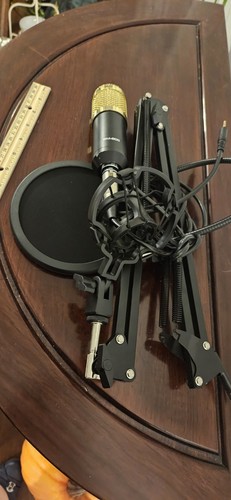 Microfono professionale - , a