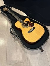Chitarra elettrica acustica