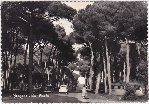 Fregene roma la - pineta,