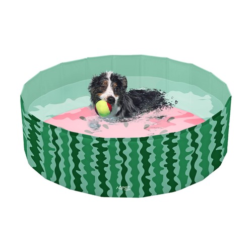 Piscina pool per cani animali - piscina,
