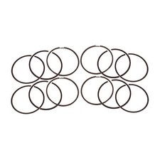 Set di 12 fasce da 81 mm per