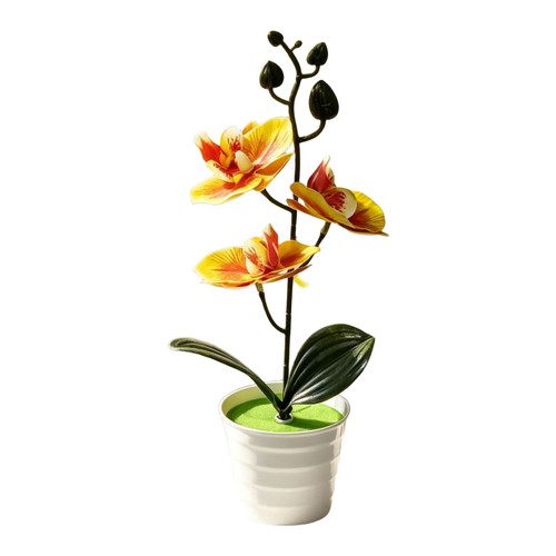 Pianta orchidea finta bassa - finta,