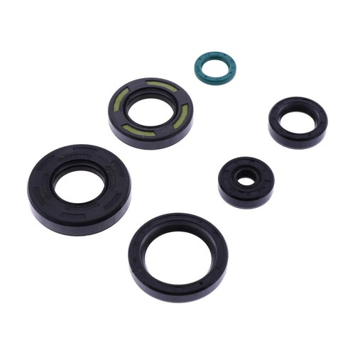 Kit guarnizioni paraoli - , motore