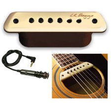 LR Baggs M1 Passive Sound Hole