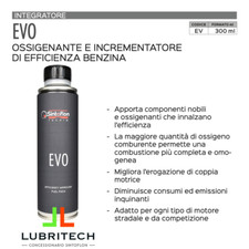 Sintoflon EVO 300 ml
