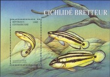 Repubblica Centrafricana 2001