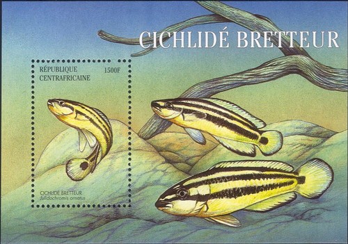 Repubblica centrafricana 2001 - repubblica,