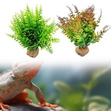 Piante artificiali Decorazioni