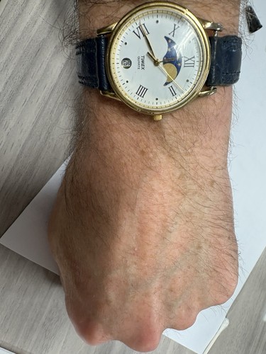 Orologio polso timex - da,
