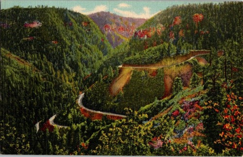 Cartolina lino oak - oak, creek