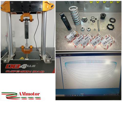 Revisione mono ammortizzatore - mono,