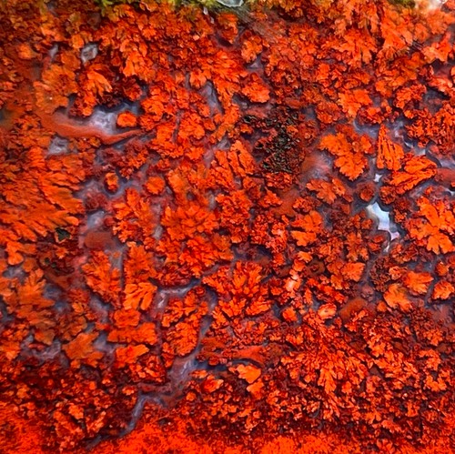 Rare agate pennacchio - rare, di