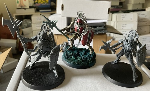 Warhammer aos ossiarch - warhammer,
