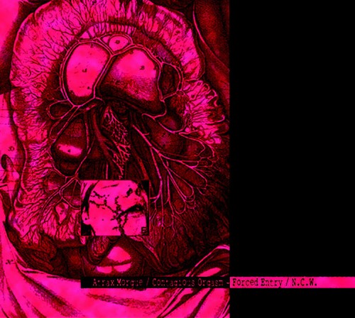 Atrax morgue contagious - atrax,
