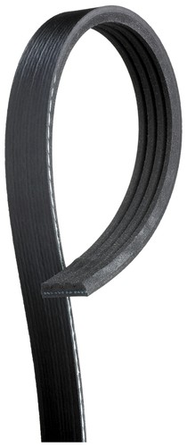 Gates 4pk1013 cinghia - cinghia, a