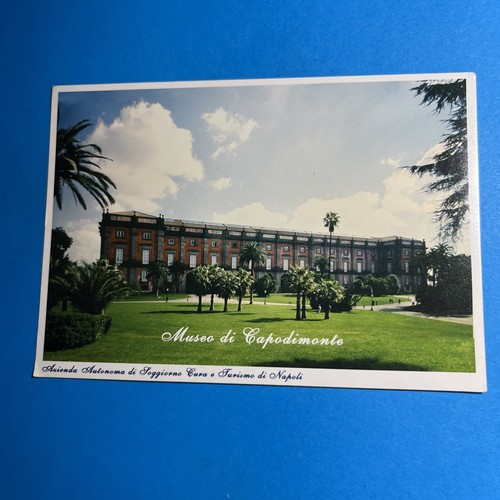 Museo capodimonte azienda - di,