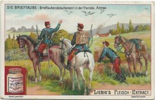 2/936 Immagine da Collezione