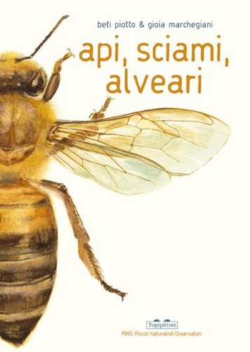 Api sciami alveari - sciami,, a