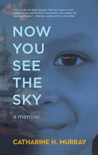 Now you see the sky - now,